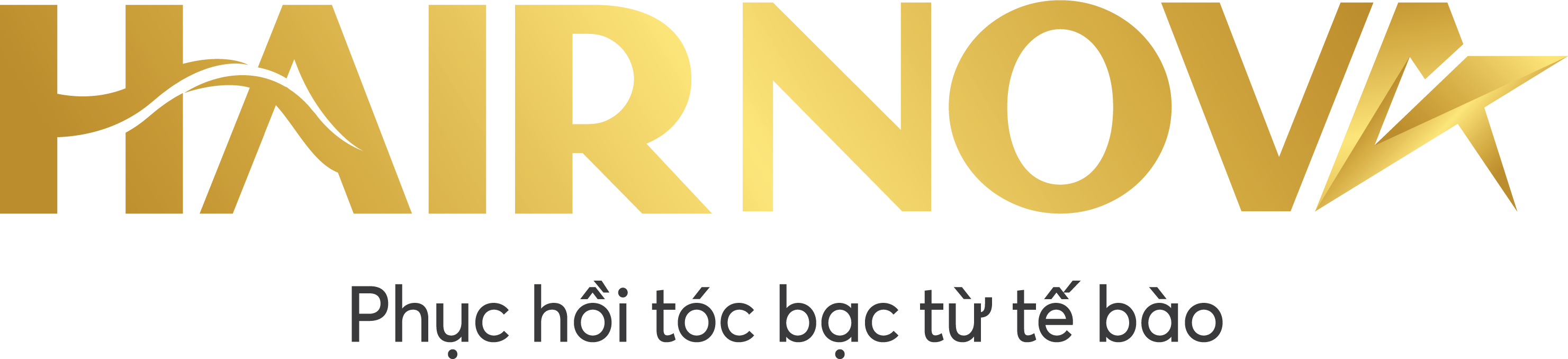 HairNova: Phục hồi tóc bạc từ tế bào 